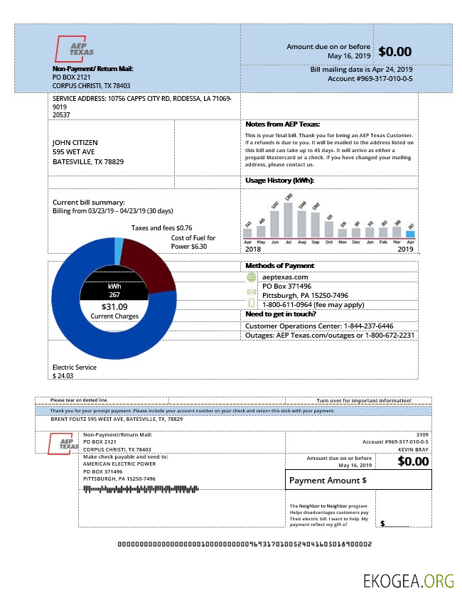 USA AEP Texas electricity utility bill template in Word and PDF format
